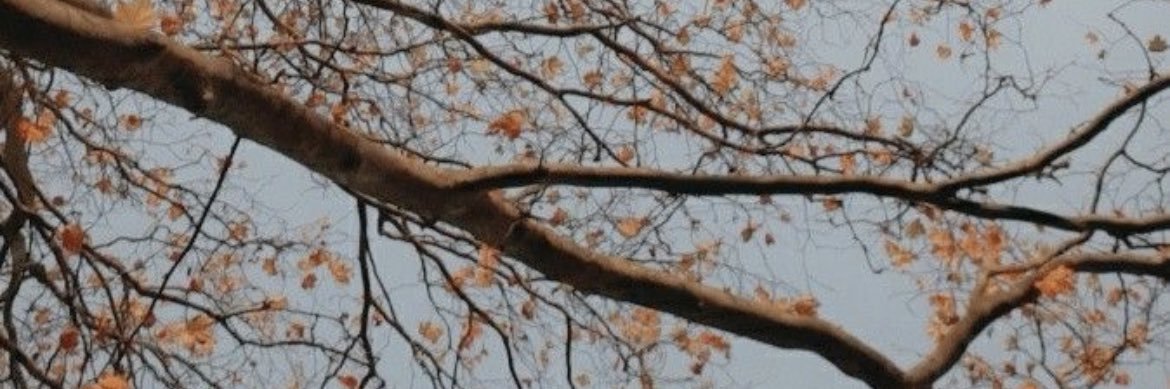 madmozil6's profile banner image