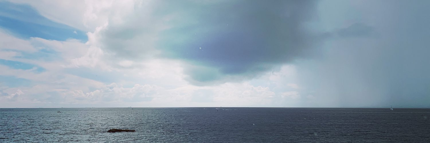 Nathalie Birocheau banner