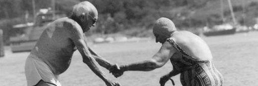 Nina Antičić banner