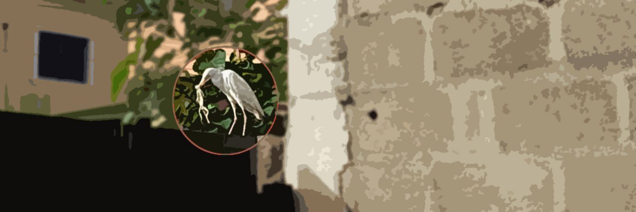Maestro banner