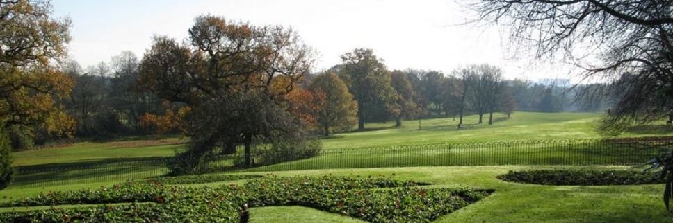 DarleySNT's profile banner image