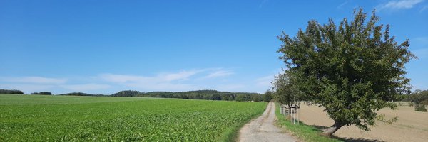 tibuch_ Profile Banner