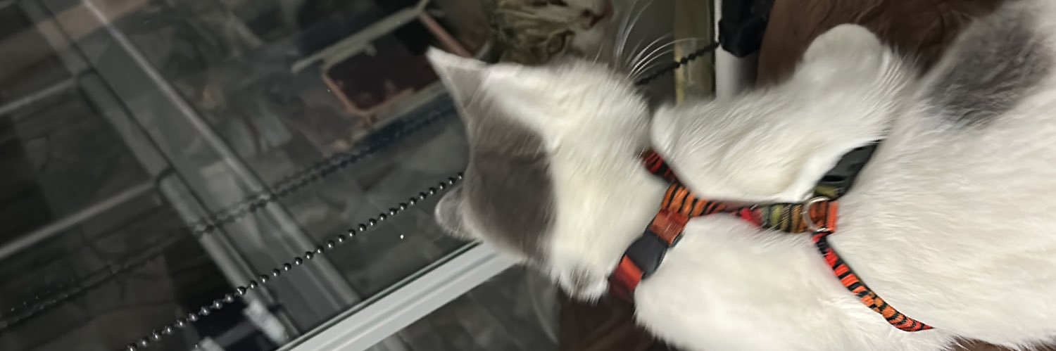 tezcanbay's profile banner image