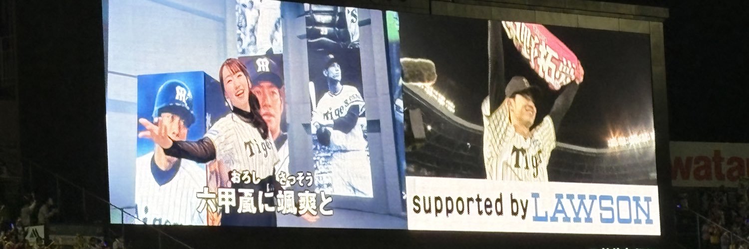 みやーな🐯5/20,(27),6/3,(6),12甲子園⚾️ banner