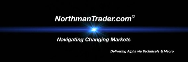 NorthmanTrader Profile Banner
