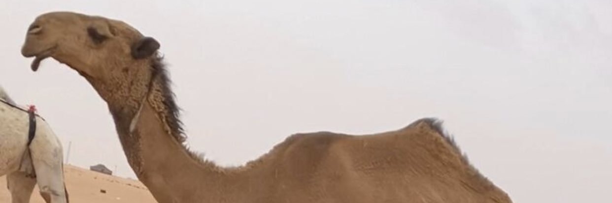 aboodi1007's profile banner image