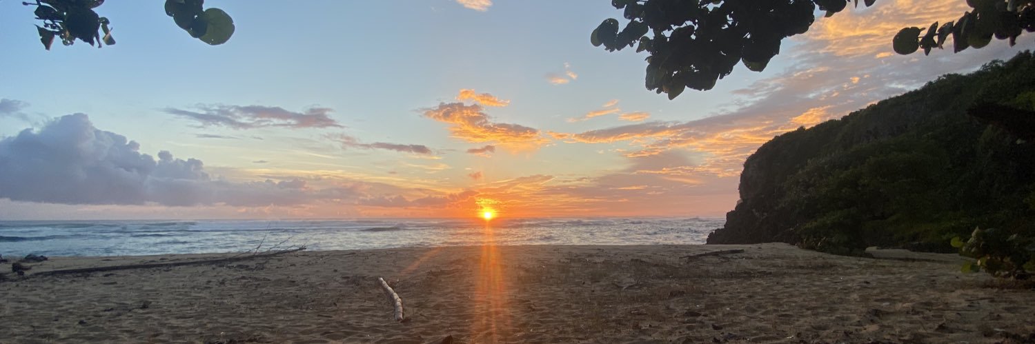 robertdarwin1's profile banner image