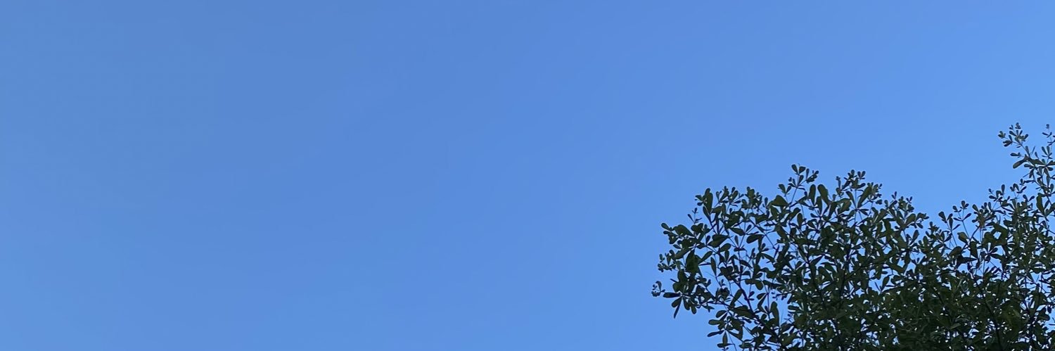 umbuD17's profile banner image
