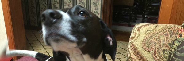 JCapGLJ Profile Banner