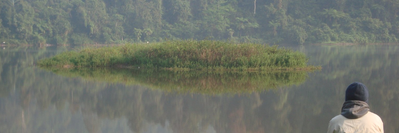 sandi1750's profile banner image
