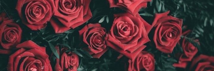 Andrea Herrera banner