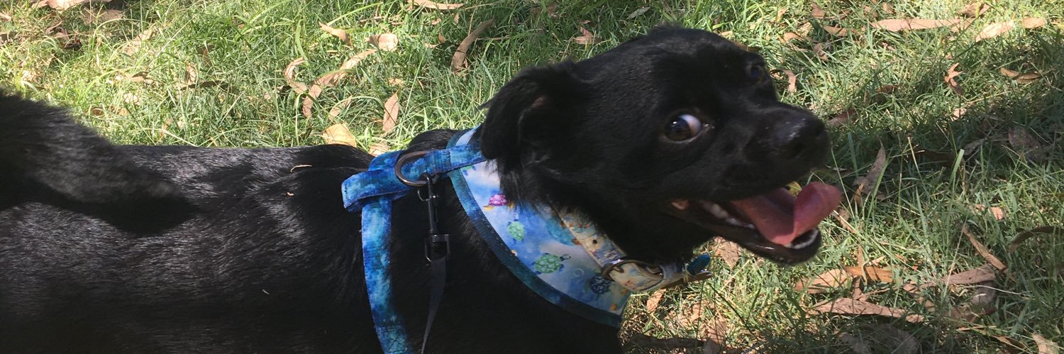 Chandler-Slayer 🇦🇺 🌹 banner