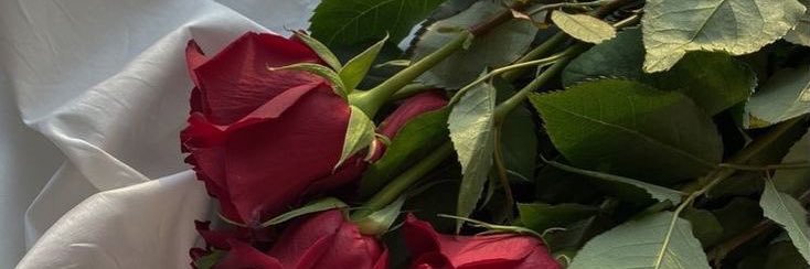 lostinthefirex0's profile banner image