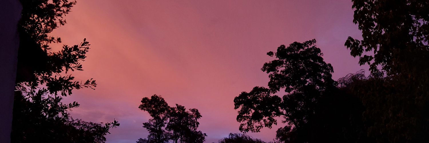 LPurgart's profile banner image