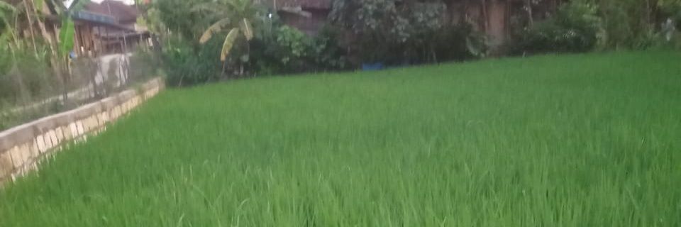 hanes_osk's profile banner image