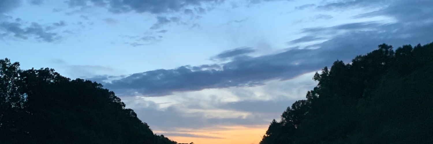 BernardMid's profile banner image