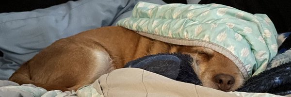 mandycommandy Profile Banner