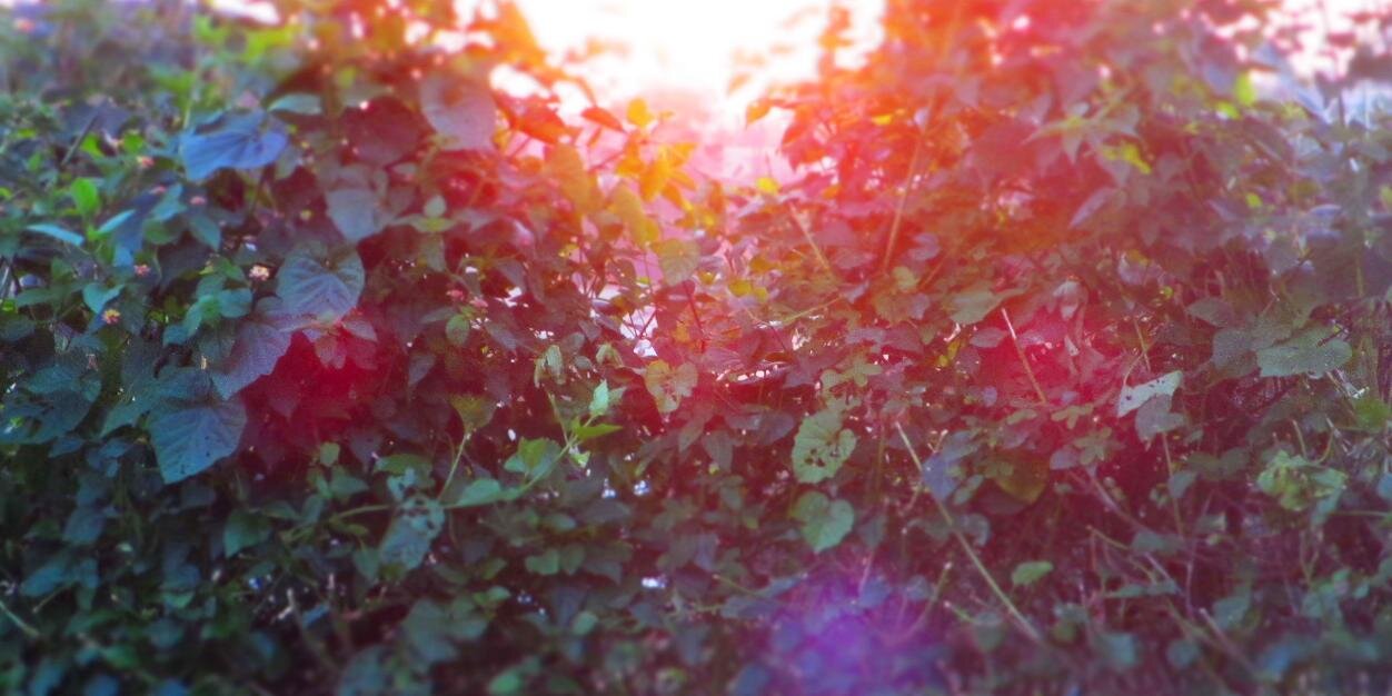 BostonAsher's profile banner image