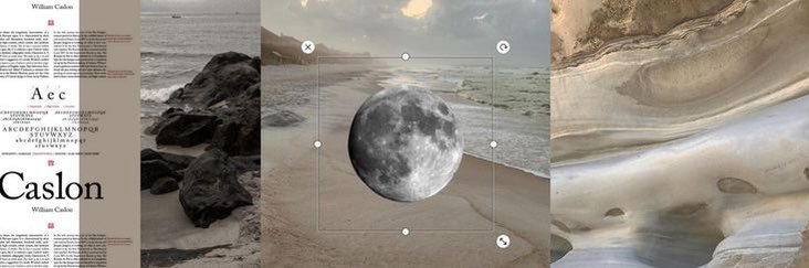 leya banner