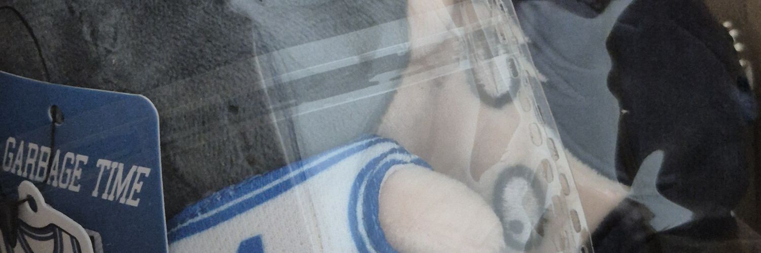 폼💙🎗's banner