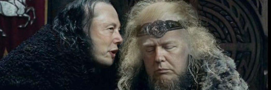 Stefan Nitzsche 🌻 banner