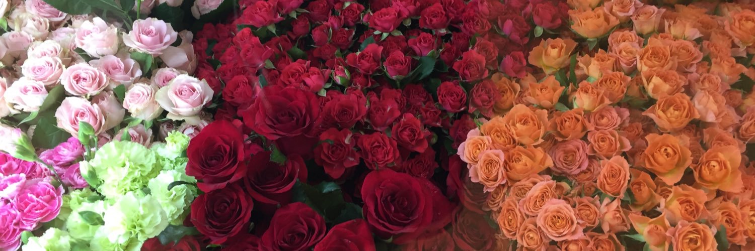 xxongoroo's profile banner image