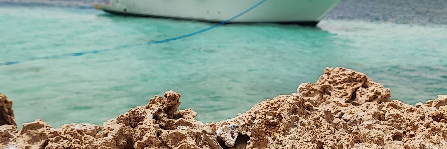 diegorivasof's profile banner image