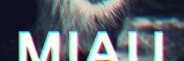 GabbaNestea Profile Banner