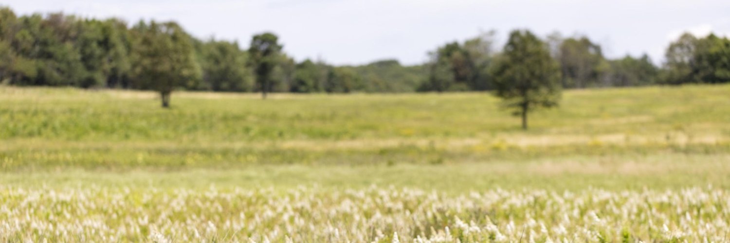 \~/ banner