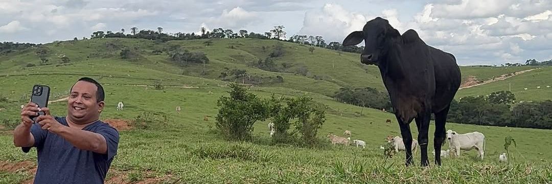 matheuspfreis's profile banner image