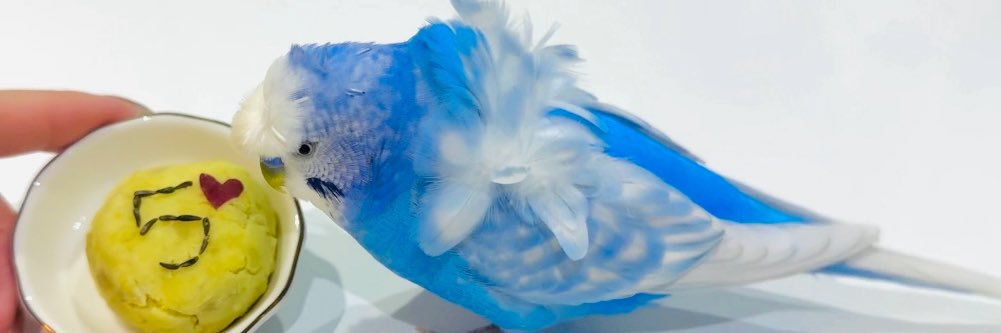 LiLiley1223's profile banner image