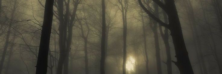 jlbowden28's profile banner image