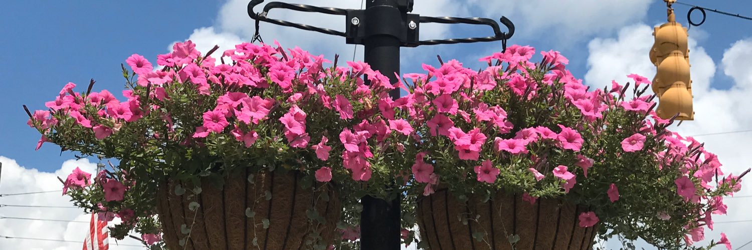 Rene Herrick banner