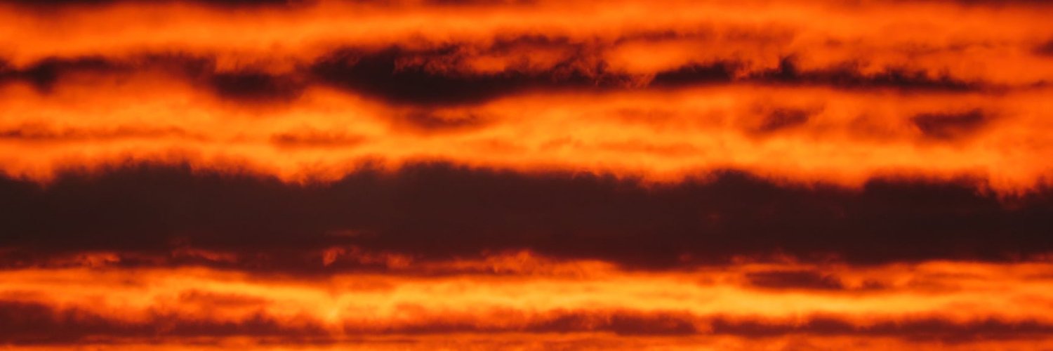 alz banner