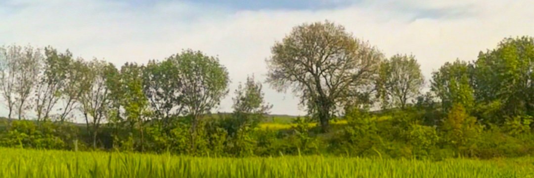 farahklync's profile banner image