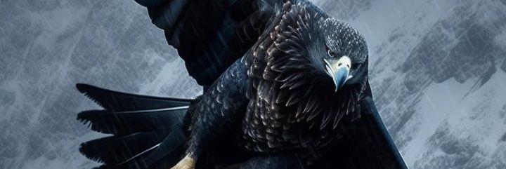 J_kelani's profile banner image