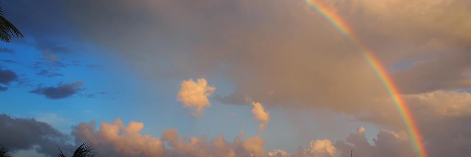 Lonnie P banner