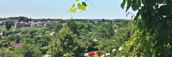 zzenyoo Profile Banner