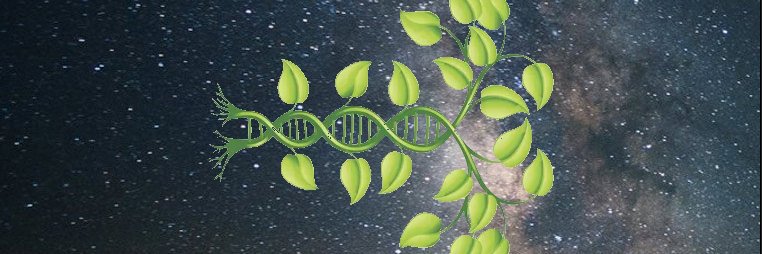 carla silva 🌱🔬💻🇧🇷☕🎶🔭 banner