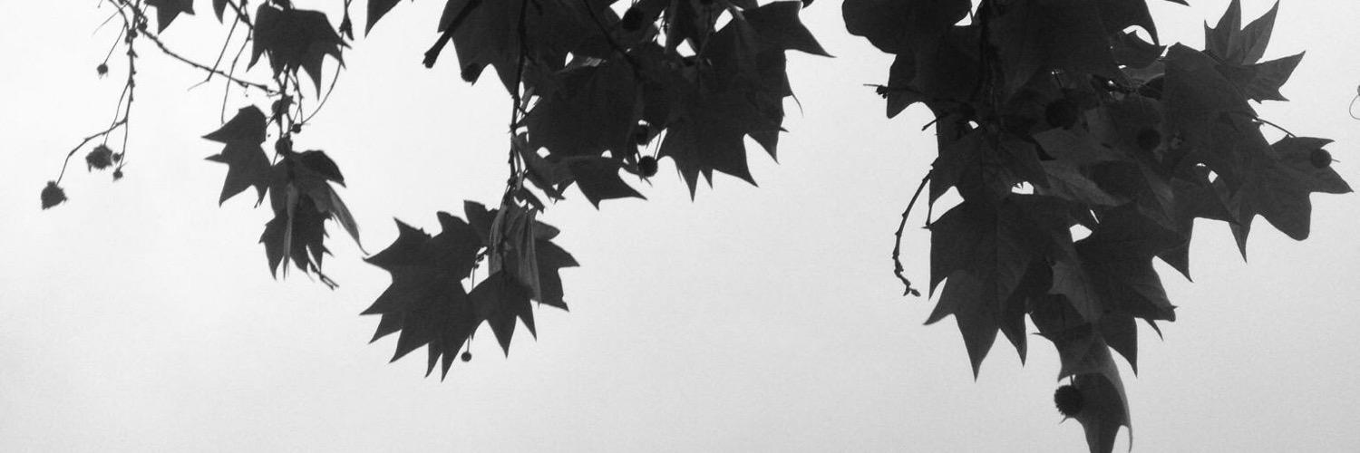 managza's profile banner image