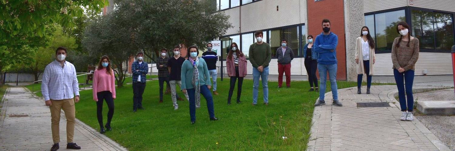 Colloidal Processing banner