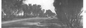 شبكة الزبير الرسمية banner