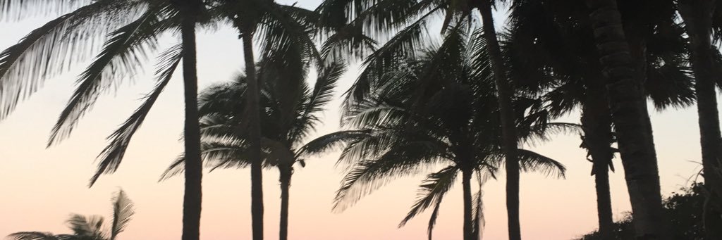 Sula_belle's profile banner image