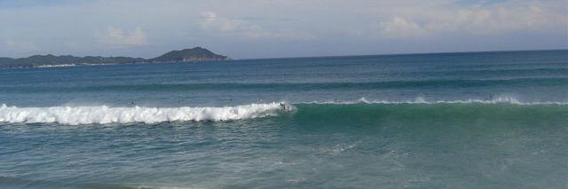 grapesurf's profile banner image