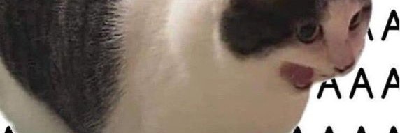 hazzorro's profile banner image