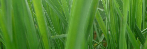 ElsVSteenberghe Profile Banner