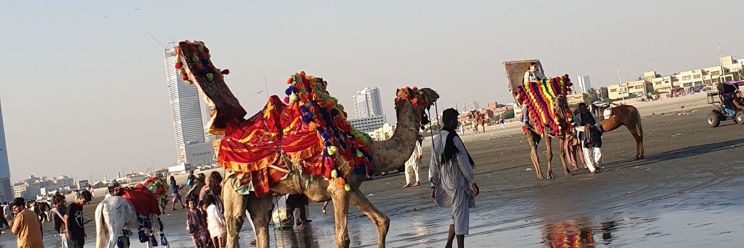 adil_zuberi's profile banner image