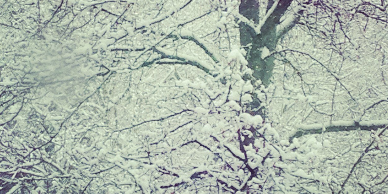 rwilson1993's profile banner image