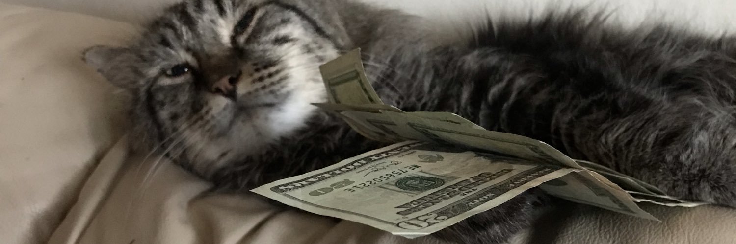 Matt_Geer's profile banner image