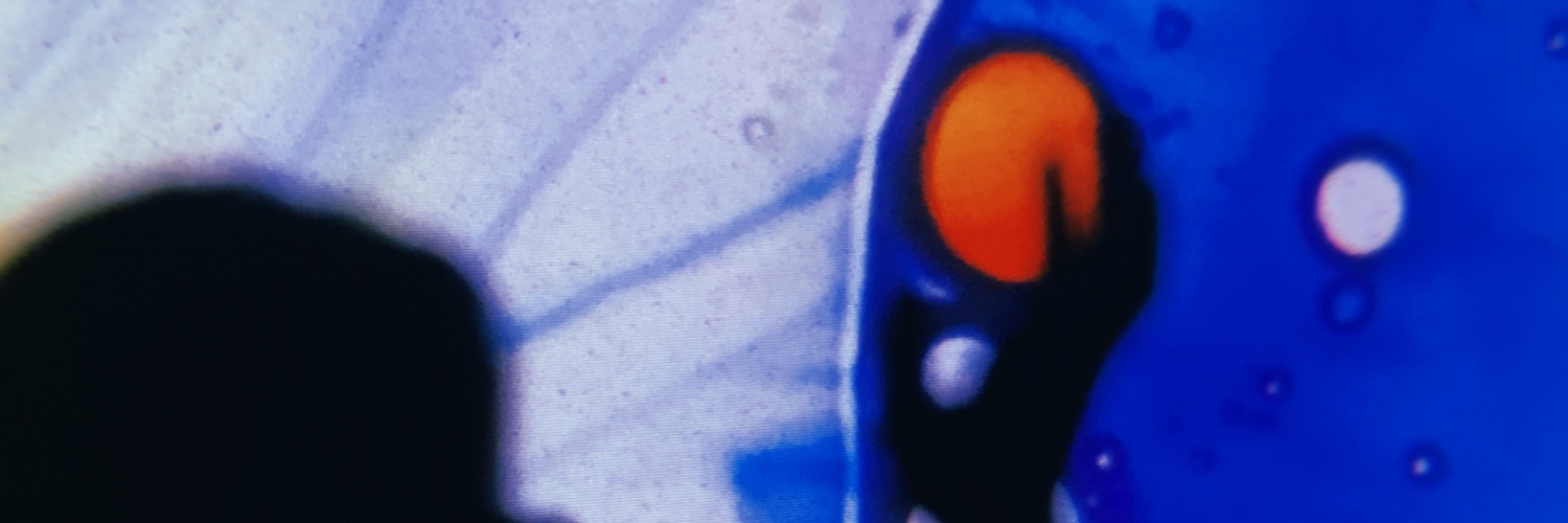 indiiviolet's profile banner image